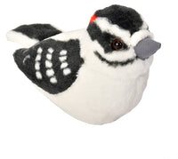 Audubon Downy Woodpecker