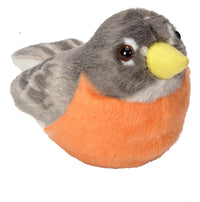 Audubon American Robin