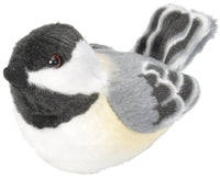 Audubon Black-Capped Chickadee