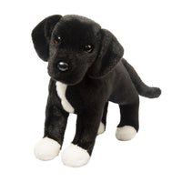 Twister Black Lab Pit Mix