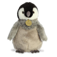 Emperor Penguin Chick