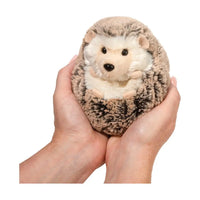 Spunky Hedgehog Small