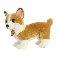 Corgi