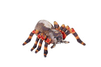 Tarantula Plush