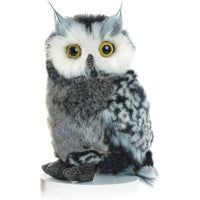 Great Horned Owl