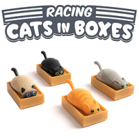 Racing Cat in Box