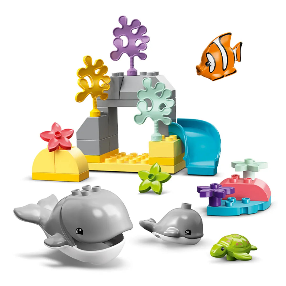 Duplo whale 2025