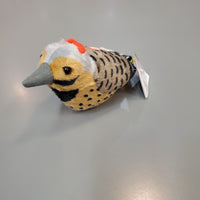 Audubon Birds: Northern Flicker