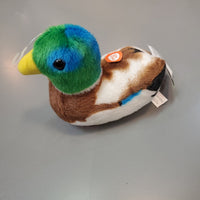 Audubon Birds: Mallard