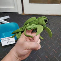 Mini Praying Mantis