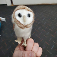 Mini Barn Owl