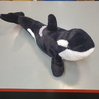 CK Orca