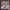 Q•bitz: Visual dexterity. Cubed