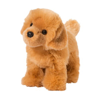Chap Golden Retriever