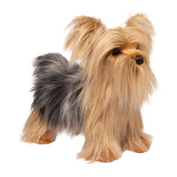 Brenton Yorkie