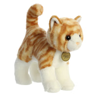 Orange Tabby Cat