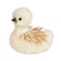 Tara Silkie Chick