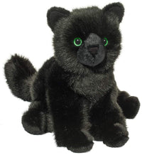 Salem Black Cat
