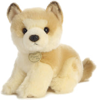 Akita Puppy