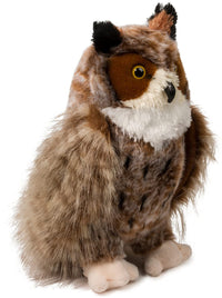 Einstein Great Horned Owl