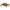 Alligator Puppet