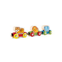 Jungle Journey Train