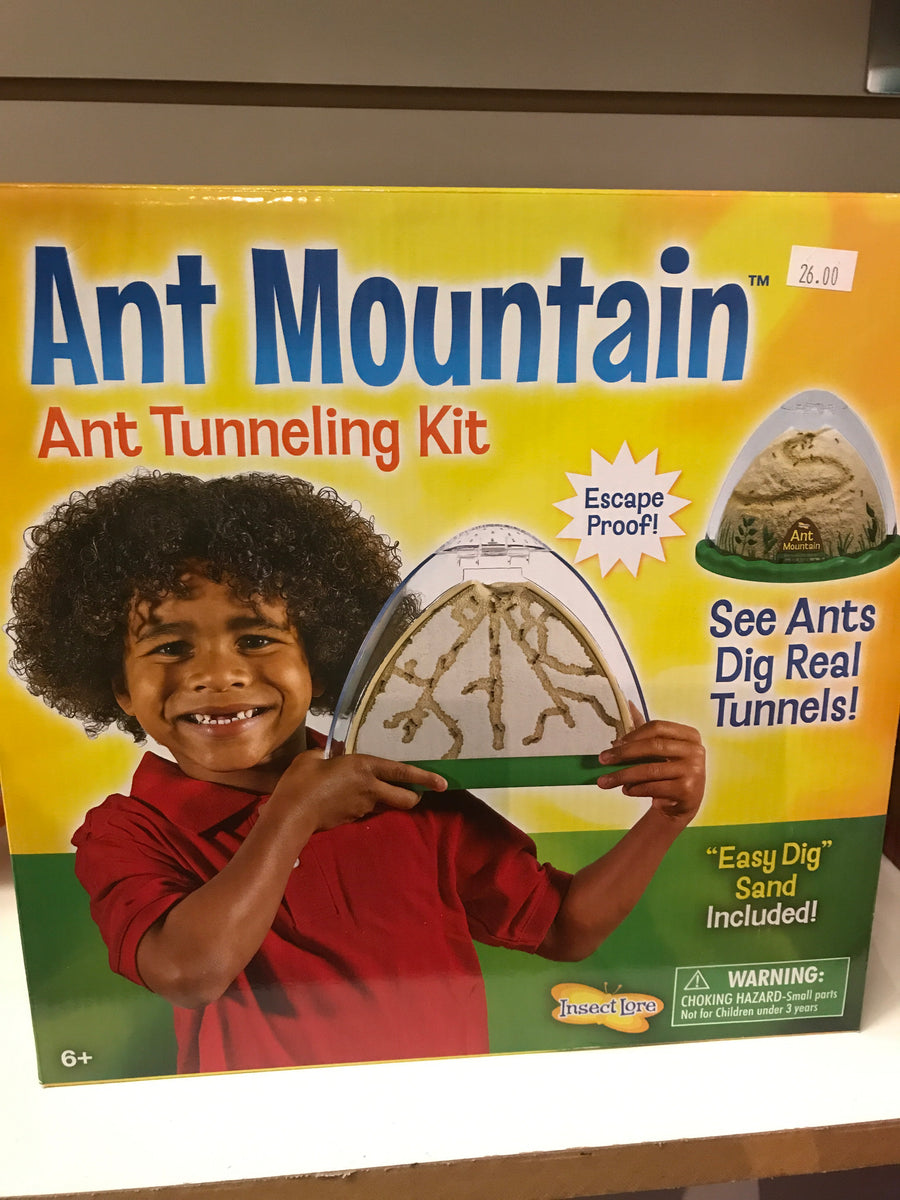 Insect Lore Ant Mountain Ant Tunneling Kit Mudpuddles Toy Store