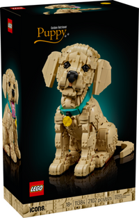 11384: Golden Retriever Puppy