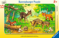 Animal Babies of the Forest: 15 Pieces