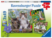 Cuddly Kittens 3 x 49pc