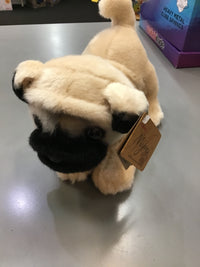 Miyoni Tots Pug Puppy