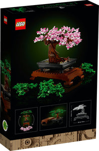 10281: Bonsai Tree