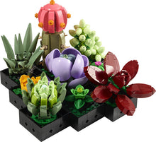 Load image into Gallery viewer, 10309: Succulents

