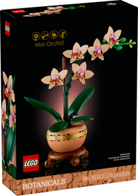 10343: Mini Orchid