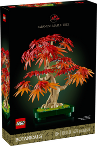 10348: Japanese Red Maple Bonsai Tree