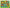 Jungle Animal Jumble: 30 Pieces
