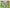 Dinosaur Roar: 30 Pieces