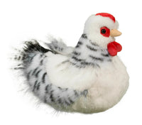 Salty Black and White Hen