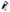 Audubon Atlantic Puffin