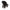 Twister Black Lab Pit Mix