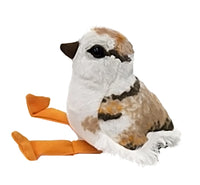 Audubon Piping Plover Chick