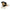 Moses Terrier Mix