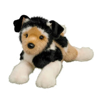 Moses Terrier Mix