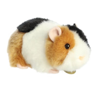 American Guinea Pig