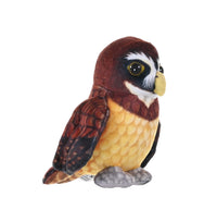 Rainforest Spectacled Owl