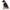 Peregrine Falcon Puppet