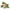 Toad Puppet
