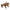 Horned Lizard Puppet