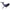 Humpback Whale Puppet