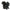 Hi-Wire Black Squirrel